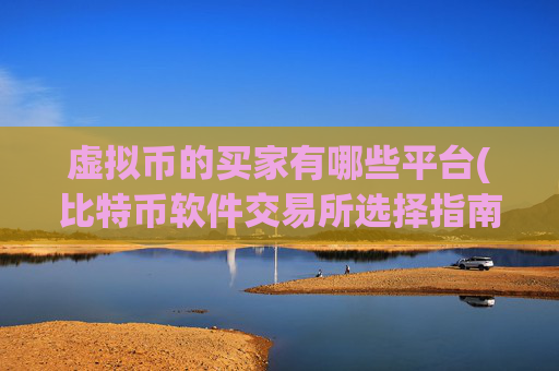 虚拟币的买家有哪些平台(比特币软件交易所选择指南)