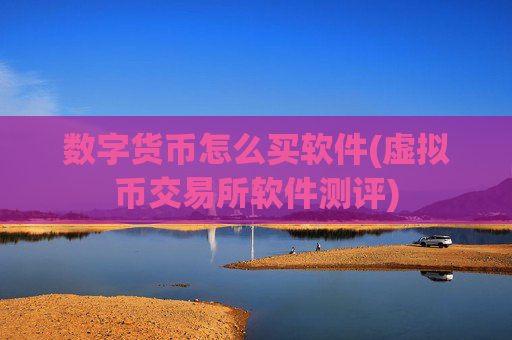 数字货币怎么买软件(虚拟币交易所软件测评)