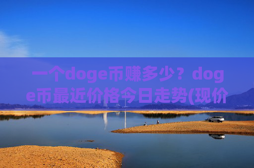 一个doge币赚多少？doge币最近价格今日走势(现价3.1655元)