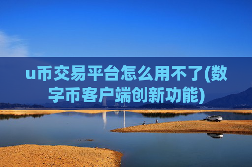u币交易平台怎么用不了(数字币客户端创新功能)