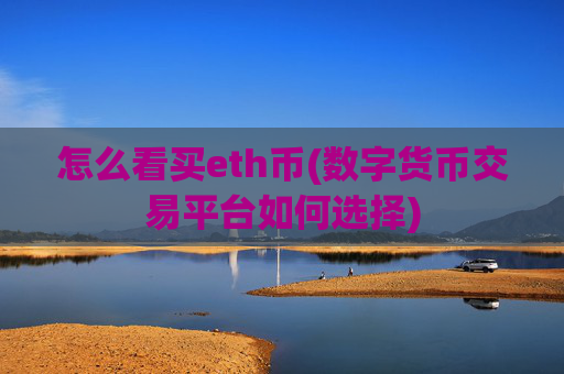 怎么看买eth币(数字货币交易平台如何选择)