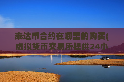 泰达币合约在哪里的购买(虚拟货币交易所提供24小时服务)