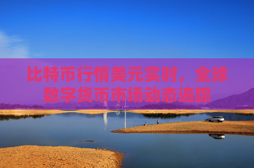 比特币行情美元实时，全球数字货币市场动态追踪