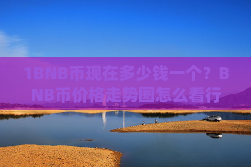 1BNB币现在多少钱一个?BNB币价格走势图怎么看行情(现价5308.65元)