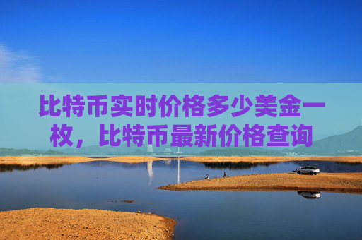 比特币实时价格多少美金一枚，比特币最新价格查询