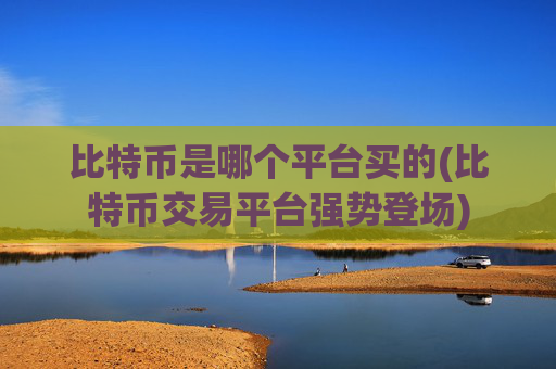 比特币是哪个平台买的(比特币交易平台强势登场)