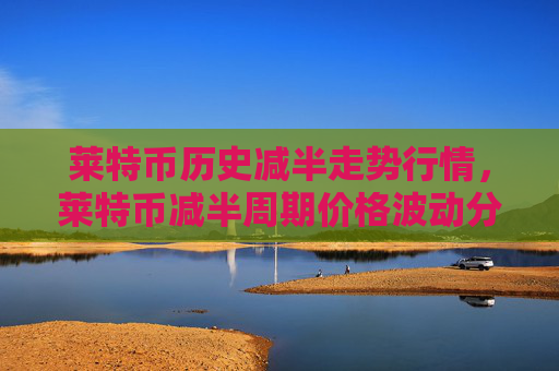 莱特币历史减半走势行情,莱特币减半周期价格波动分析