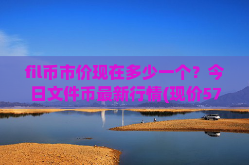 fil币市价现在多少一个？今日文件币最新行情(现价57.9794元)