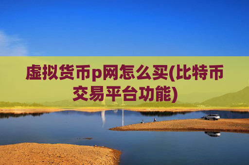 虚拟货币p网怎么买(比特币交易平台功能)