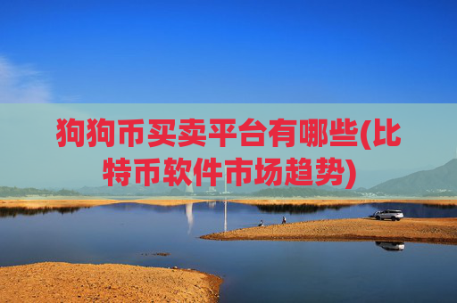 狗狗币买卖平台有哪些(比特币软件市场趋势)