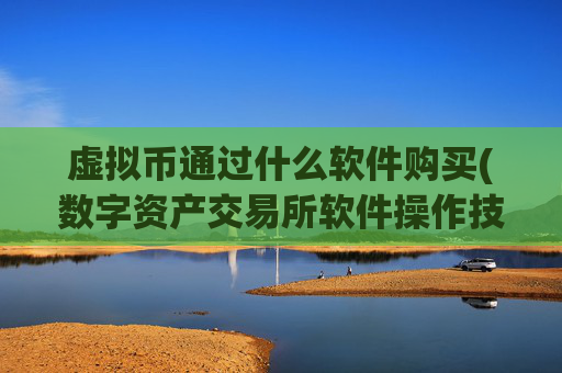 虚拟币通过什么软件购买(数字资产交易所软件操作技巧)