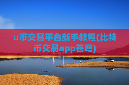 u币交易平台新手教程(比特币交易app苍穹)