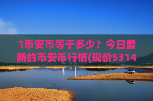1币安币等于多少？今日最新的币安币行情(现价5314.59元)