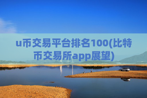 u币交易平台排名100(比特币交易所app展望)
