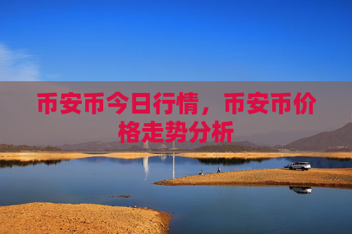 币安币今日行情，币安币价格走势分析