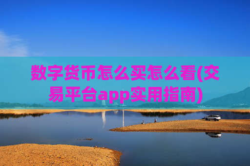数字货币怎么买怎么看(交易平台app实用指南)