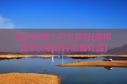 泰达币哪个平台买好(虚拟货币交易软件功能介绍)