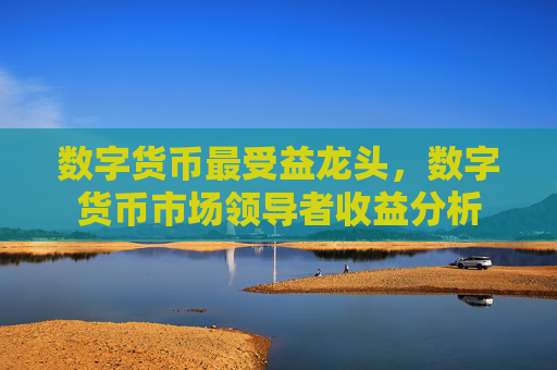数字货币最受益龙头，数字货币市场领导者收益分析