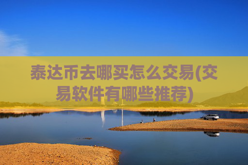 泰达币去哪买怎么交易(交易软件有哪些推荐)