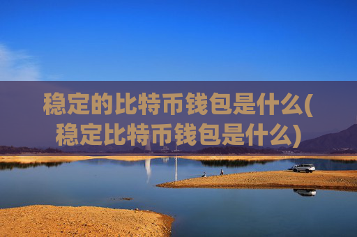 稳定的比特币钱包是什么(稳定比特币钱包是什么)