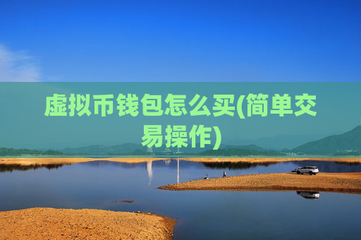 虚拟币钱包怎么买(简单交易操作)