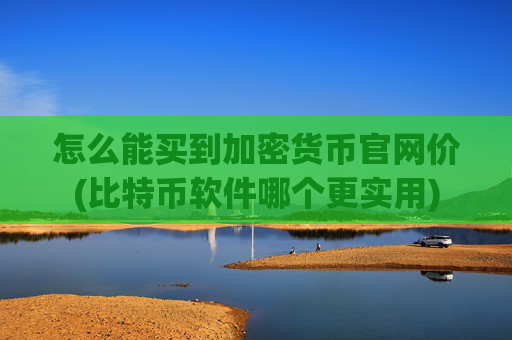 怎么能买到加密货币官网价(比特币软件哪个更实用)