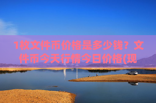 1枚文件币价格是多少钱？文件币今天行情今日价格(现价57.9892元)