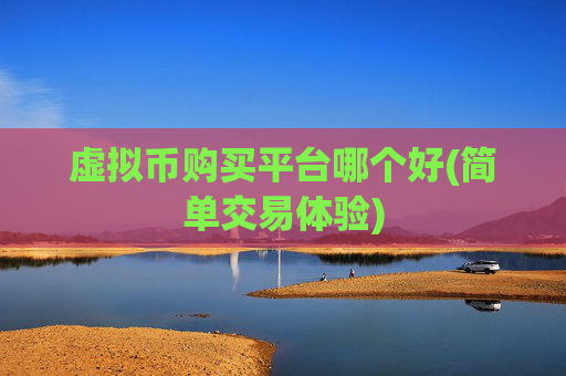 虚拟币购买平台哪个好(简单交易体验)