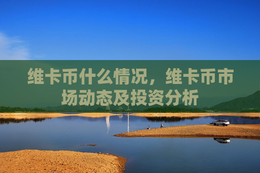 维卡币什么情况，维卡币市场动态及投资分析