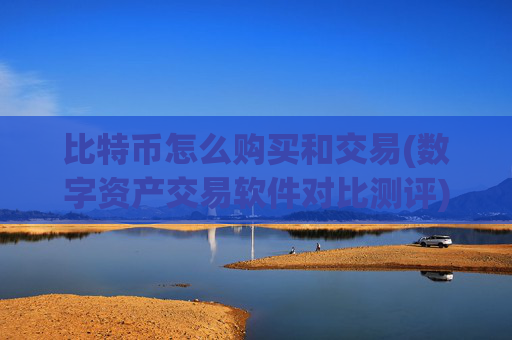 比特币怎么购买和交易(数字资产交易软件对比测评)