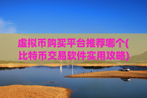 虚拟币购买平台推荐哪个(比特币交易软件实用攻略)