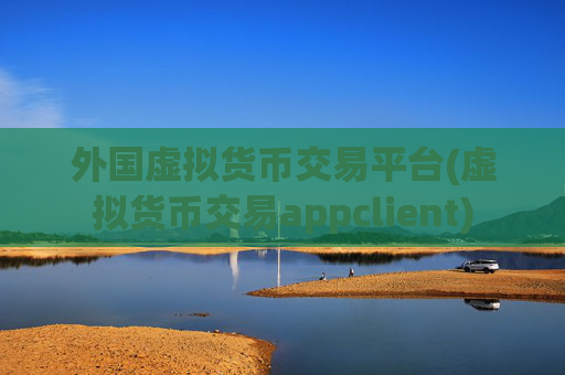 外国虚拟货币交易平台(虚拟货币交易appclient)