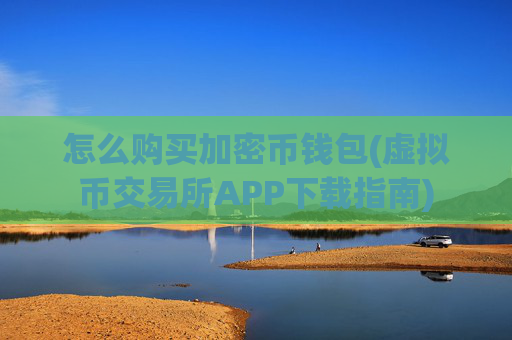 怎么购买加密币钱包(虚拟币交易所APP下载指南)