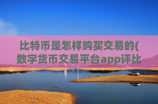 比特币是怎样购买交易的(数字货币交易平台app评比)