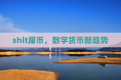 shit屎币，数字货币新趋势