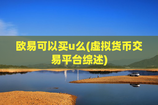 欧易可以买u么(虚拟货币交易平台综述)