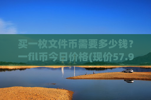 买一枚文件币需要多少钱？一fil币今日价格(现价57.914元)