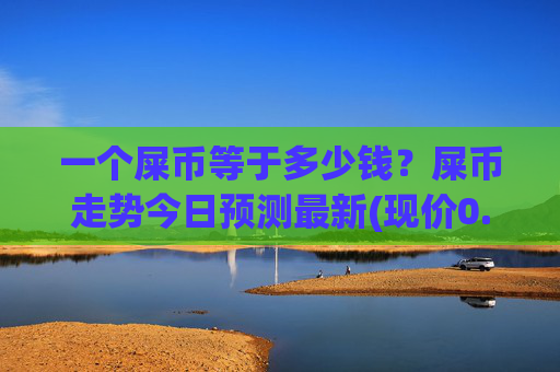 一个屎币等于多少钱？屎币走势今日预测最新(现价0.00022493元)