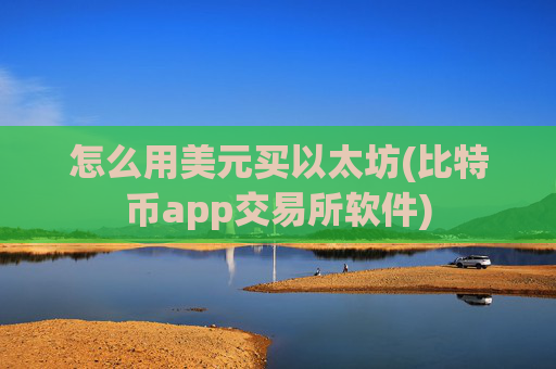 怎么用美元买以太坊(比特币app交易所软件)