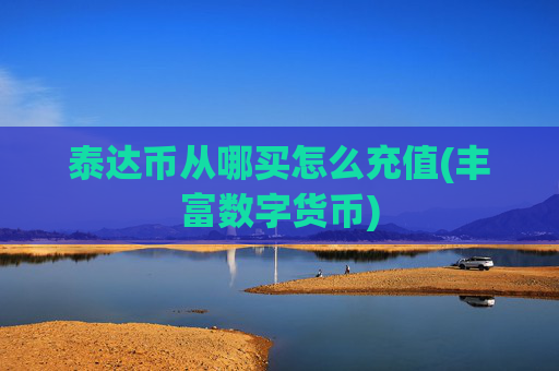 泰达币从哪买怎么充值(丰富数字货币)