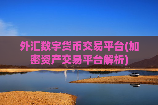 外汇数字货币交易平台(加密资产交易平台解析)