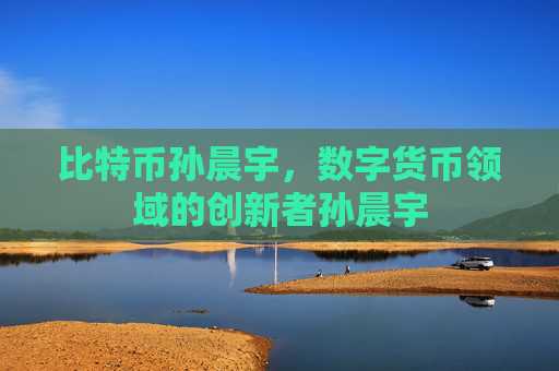 比特币孙晨宇，数字货币领域的创新者孙晨宇