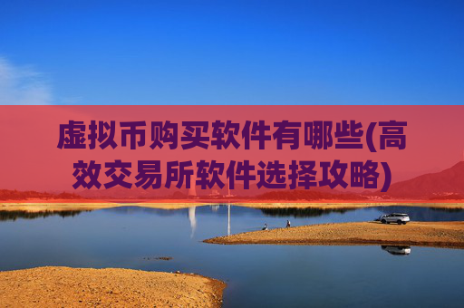 虚拟币购买软件有哪些(高效交易所软件选择攻略)