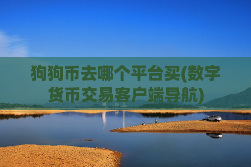 狗狗币去哪个平台买(数字货币交易客户端导航)