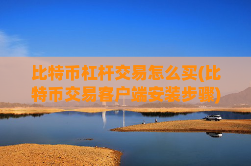 比特币杠杆交易怎么买(比特币交易客户端安装步骤)