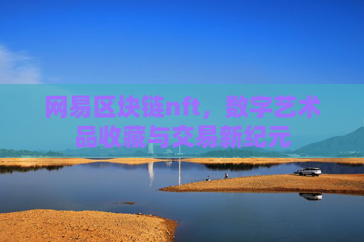 网易区块链nft，数字艺术品收藏与交易新纪元
