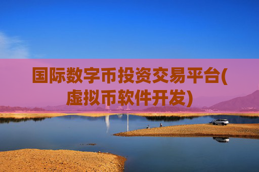 国际数字币投资交易平台(虚拟币软件开发)