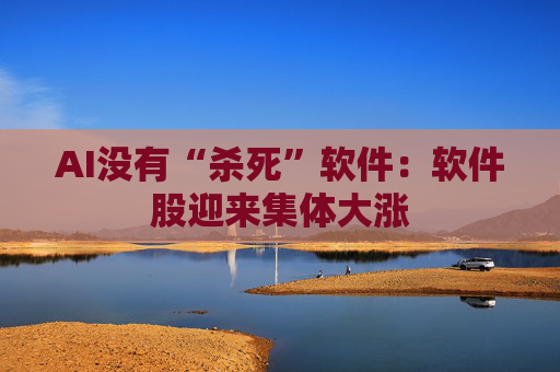 AI没有“杀死”软件：软件股迎来集体大涨