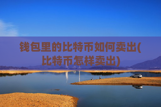钱包里的比特币如何卖出(比特币怎样卖出)