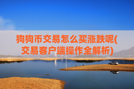 狗狗币交易怎么买涨跌呢(交易客户端操作全解析)